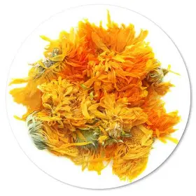 گل همیشه‌ بهار خشک صادراتی فروش مستقیم گل همیشه‌ بهار دارویی ایران
